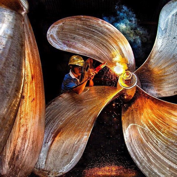 越南摄影师张荣的作品《海洋之花》。