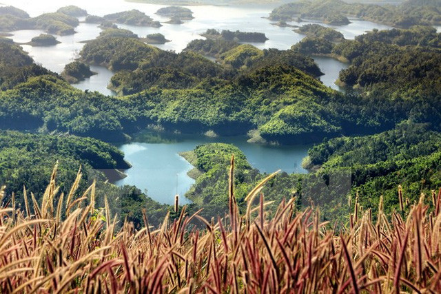 塔董自然保护区被誉为“西原地区的下龙湾”。（图片来源：越通社）