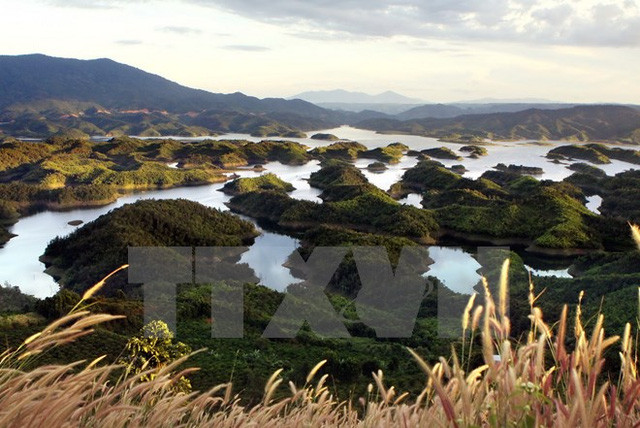 塔董自然保护区的高位水池总面积为3.6万公顷。（图片来源：越通社）