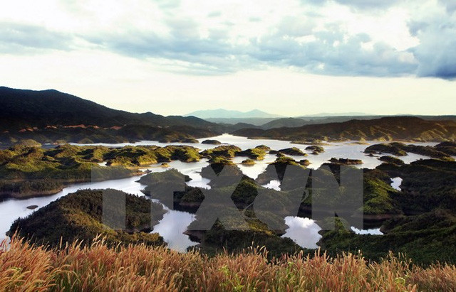 塔董自然保护区位于得农省与林同省遗玲（Di Linh）高原中间。（图片来源：越通社）