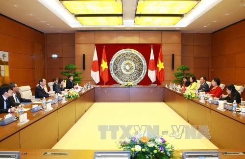 12 月 14 日下午在国会大厦，以阮氏金银副主席为首的越南国会代表团与由舆石东副议长率领从 14 日至 16 日对越南进行工作访问的日本参议院代表团举行会谈。（图片来源：越通社）