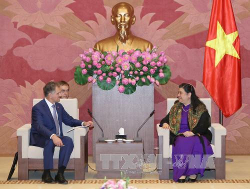 12 月 14 日在河内，越南国会副主席丛氏放会见正在对越南进行访问的俄罗斯联邦委员会对越友好议员小组主席沃尔科夫。（图片来源：越通社）