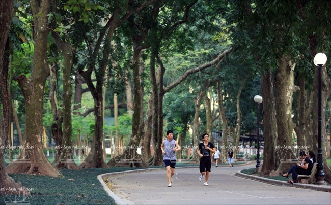 河内人在翠绿的树荫下锻炼身体。（图片来源：越通社《越南画报》）