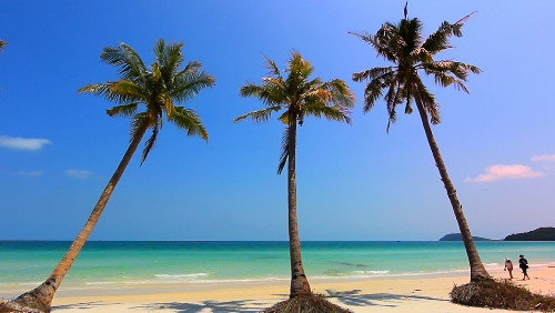 越南中部地区蓝色海水、白色沙滩和金色阳光（图片来源：vnexpress.net）