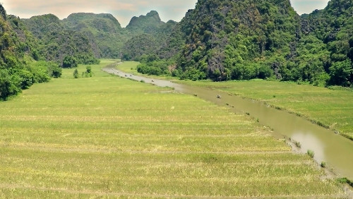 观众有机会欣赏越南各地自然美景。图为三谷胜地梧桐江两边的稻田（图片来源：vnexpress.net）