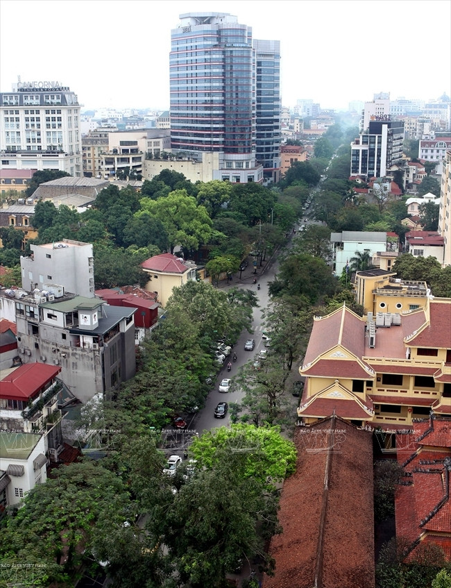 人面果树荫凉的李常杰街。（图片来源：越通社《越南画报》）