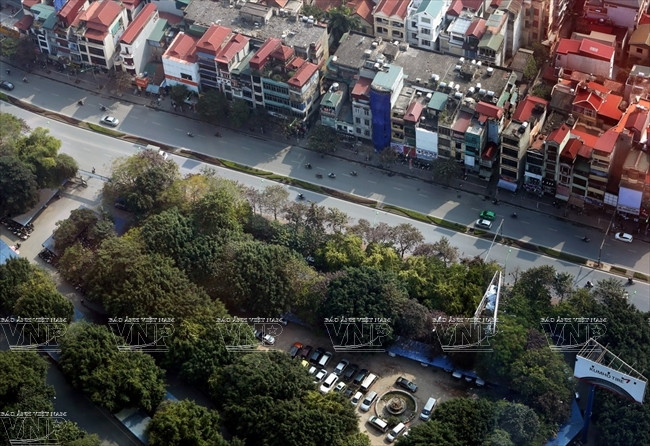 金马街两旁的行道树。（图片来源：越通社《越南画报》）