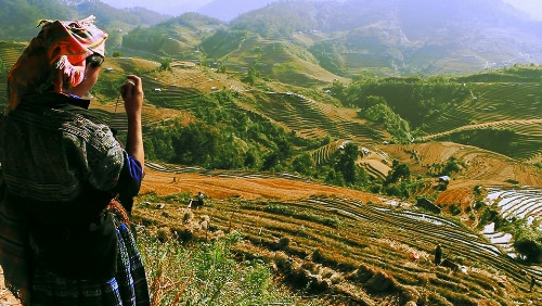 据越南旅游总局领导透露，这段宣传片在国际专家的咨询下完成（vnexpress.net）