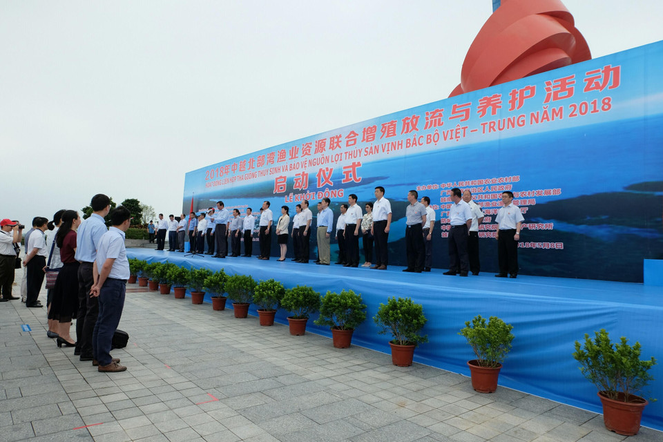 2018年中越北部湾渔业资源联合增殖放流与养护活动场景。越通社记者 祥安 摄