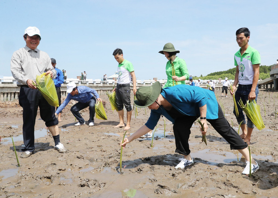 越南国会主席阮氏金银出席金瓯省植树仪式。越通社记者 仲德 摄