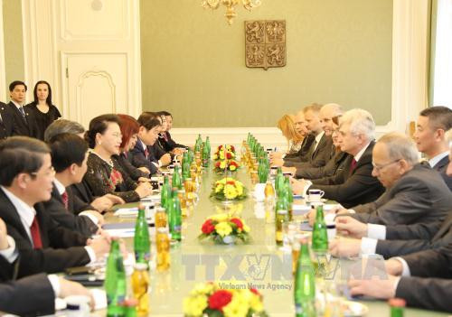 越南国会主席阮氏金银会与捷克参议院主席米兰•什捷赫举行会谈。