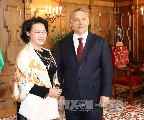 越南国会主席阮氏金银会见匈牙利总理欧尔班•维克多。