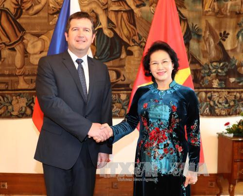 越南国会主席阮氏金银会见捷克众议院主席扬• 哈马切克。