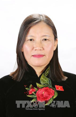 越共中央委员、国会常委委员、国会司法委员会副主任黎氏娥以414个赞成票当选第十三届国会司法委员会主任。