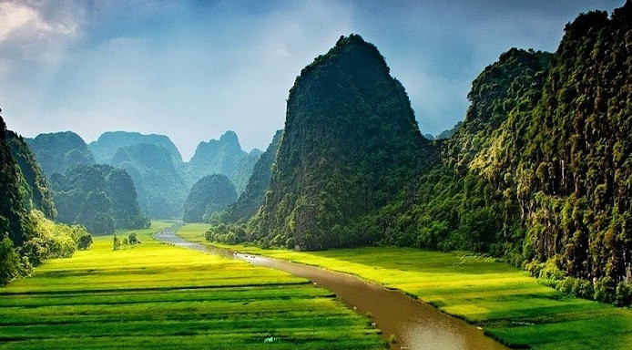 一片生机盎然的景象。图自越通社