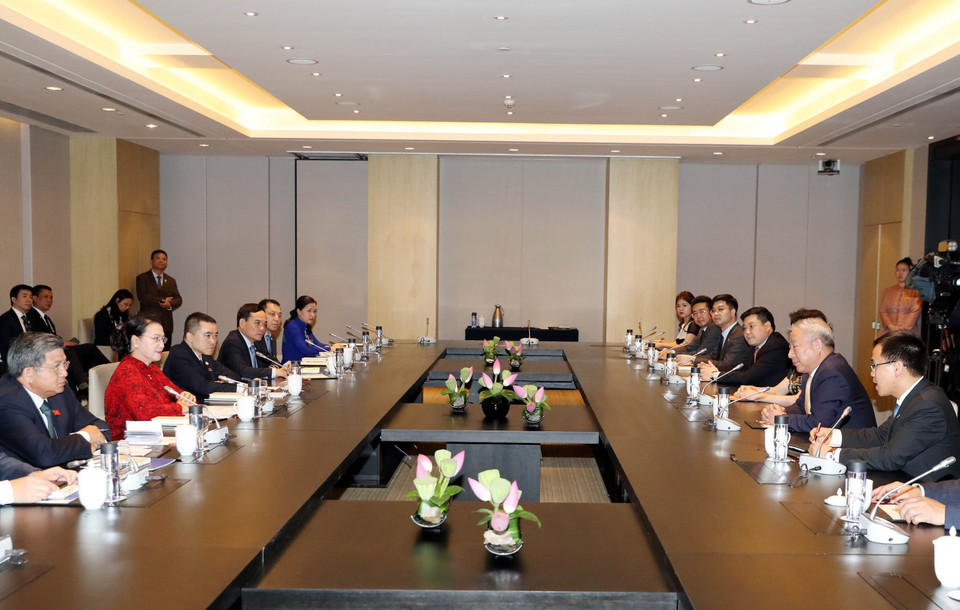 越南国会主席阮氏金银会见中国太平洋集团创始人严介和。越通社记者 仲德 摄