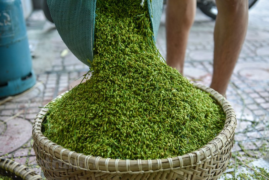 美池村扁糯米已有一百年的历史了。2019年越南文化体育旅游村将扁糯米生产业列为国家非物质文化遗产名单。一年有两个扁糯米生产季节，从农历3月至5月和从8月至10月。进入扁糯米生产季节，扁糯米最好吃。扁糯米生产业十分辛苦，需要扁糯米生产者十分忍心及仔细。图自Vietnam+ 