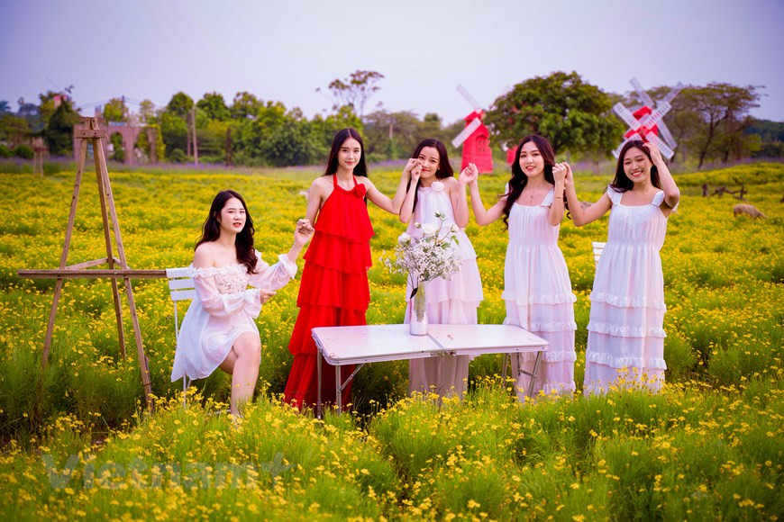 人家不仅喜欢金毛菊花的美丽，更喜欢它傲霜的精神。在微冷的秋风里，昂首挺胸向秋风挑战。的确，菊花虽然没有牡丹雍容华贵，没有月季娇艳妩媚，没有百合高贵优雅，但她那傲霜精神，确实令人喜爱。每年秋冬时节，成片金黄色的金毛菊花，吸引了众多游客驱车前来拍照“打卡”。图自Vietnam+