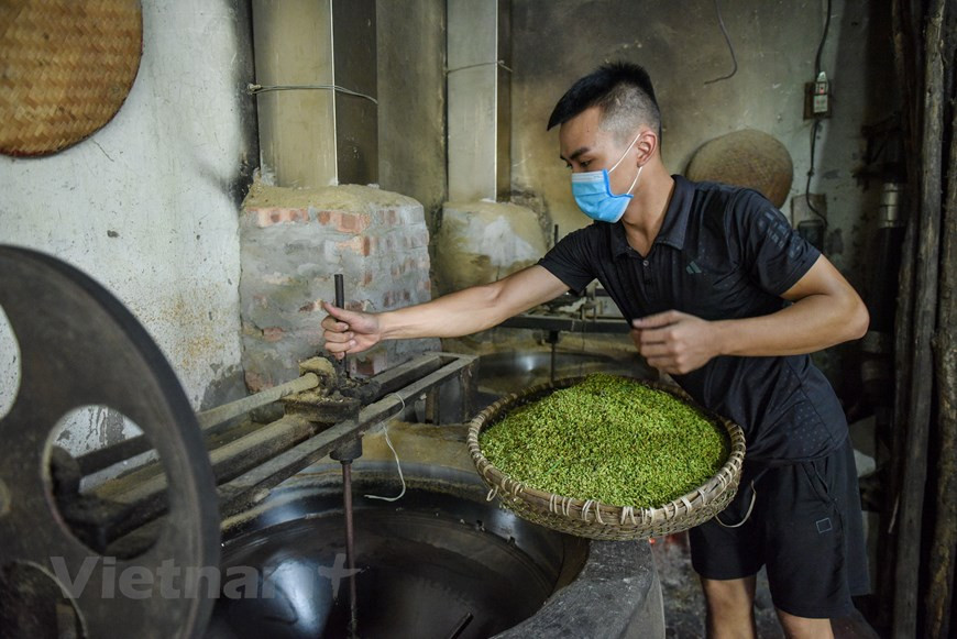 只有柔软、有弹性的糯米才能制成好吃的扁糯米。每年农历7-10月份就是黄花糯米的收获期。100公斤稻谷能做15公斤扁糯米，最多18公斤。收割季之前的夏天初日，就是那些装满嫩绿的糯稻的车子熙熙攘攘地走进米池村的时候。带回来的这些青翠及新鲜糯稻立即被脱粒，选出秕子，洗干净。然后拿来开始第一工序—烘烤糯稻。图自Vietnam+