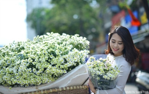 和雏菊花照相还成为人们最佳的选择（图片来源：vnexpress.net）