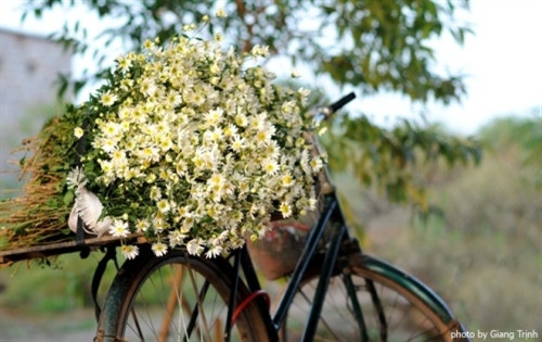 余下大部分将随着单车走遍河内大街小巷（图片来源：vnexpress.net）