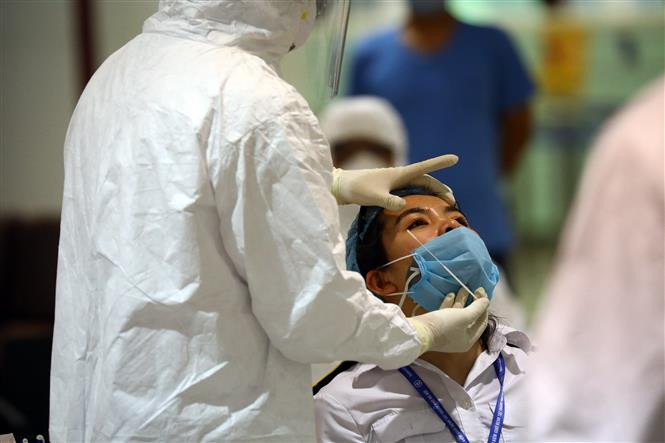 3月18日河内疾控中心在内排国际机场对旅客进行取样检测，对每一位乘客要采集鼻拭子、咽拭子等样本。越通社记者辉雄 摄