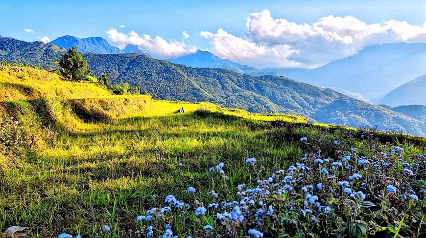 九月可以说是老街依梯县最美的季节。随着山势的起伏,错落有致的每块梯田都显示出与众不同颜色,美不胜收。稻浪渲染的色彩在层层叠叠的梯田上扩展。对于探寻原始之美和喜欢当地民众朴素性格的游客而言，依梯是一个有趣的体验旅游目的地。图自Vietnam+