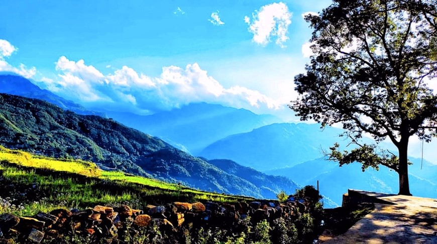 老街省地处越南北部，东接河江省、南连安沛省和山罗省、西邻莱州省、北与中国云南省河口瑶族自治县接壤。依梯是与中国接壤的山区。这里的居民主要以蒙族、瑶族、热依、哈尼等民族为主。来到这里的游客为远处地平线的金色梯田而欣喜若狂、不能自已。图自Vietnam+