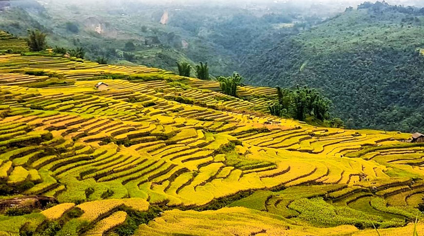 老街省地处越南北部，东接河江省、南连安沛省和山罗省、西邻莱州省、北与中国云南省河口瑶族自治县接壤。依梯是与中国接壤的山区。依梯乡位于河内以北360公里，是老街巴萨以西的山区乡，这里是沙巴和印度支那的屋顶，即蕃西邦山峻岭的所在地。图自Vietnam+