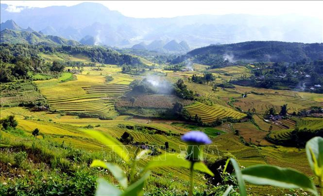 从高处俯瞰的佐棱梯田美景。图自越通社