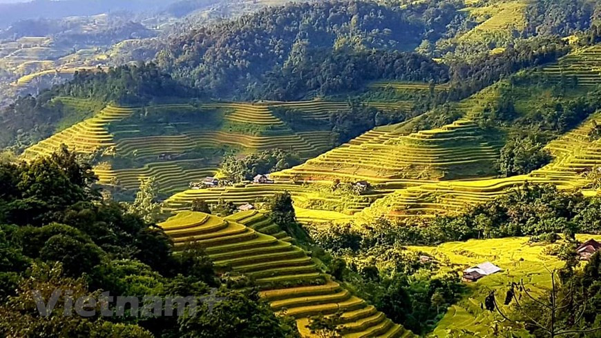 黄树肥拥有美丽的景观和丰富的自然资源。这是该县发展社区旅游和生态旅游的优势，为当地政府和人民带来切实利益。然而，想要打造旅游品牌并确保社区旅游和文化的同步发展，当地政府和旅游管理部门仍需对基础设施建设和旅游产品多样化等提供协助。河江省黄树肥被评价为河江省最佳的梯田，也是越南最佳的三大梯田之一。图自Vietnam+
