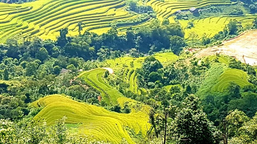 河江省黄树肥县不仅拥有雄伟壮观的自然景观 ，而且这里就是许多少数民族的传统文化汇聚之地。梯田耕地是东南亚地区山区同胞特有的耕种方式。河江省黄树肥乃至越南北部山区梯田具有历史意义，是该地区少数民族同胞长期定居历史和农业生产劳动习惯的证据。图自Vietnam+