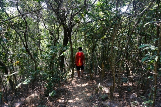 从一字山岛放眼去看，可看见这地方著名的养殖场。