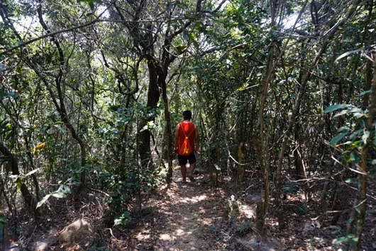 从一字山岛放眼去看，可看见这地方著名的养殖场。