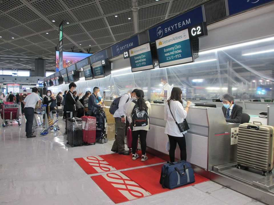 在成田机场的越南公民排队办手续。图自越通社