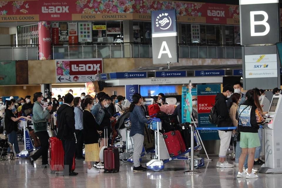 抵达内排国际机场之后，该航班的机组人员和乘客均按照规定接受健康检查和集中隔离。图自越通社