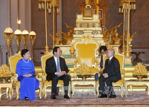  柬埔寨国王诺罗敦·西哈莫尼会见陈大光主席。