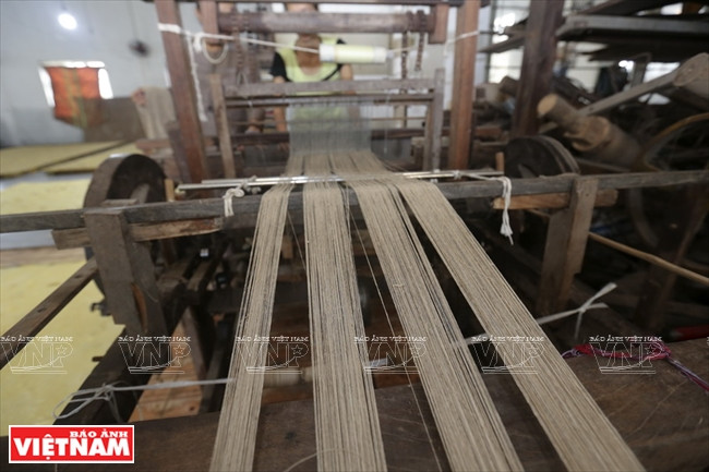 织布机上的莲丝。越南画报记者 越强