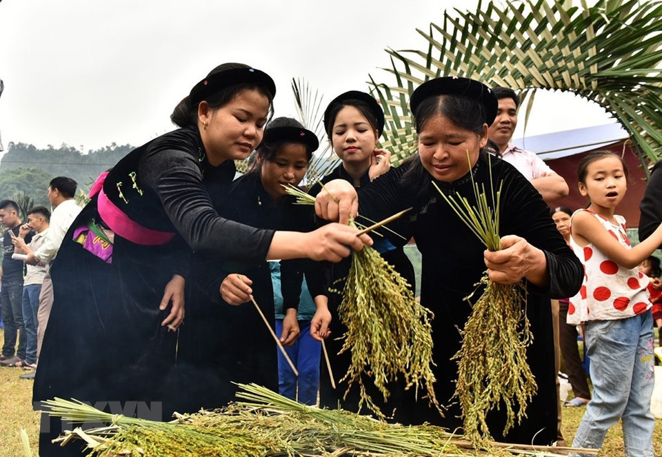 筛选稻谷制作扁糯米片。（图片来源：越通社）