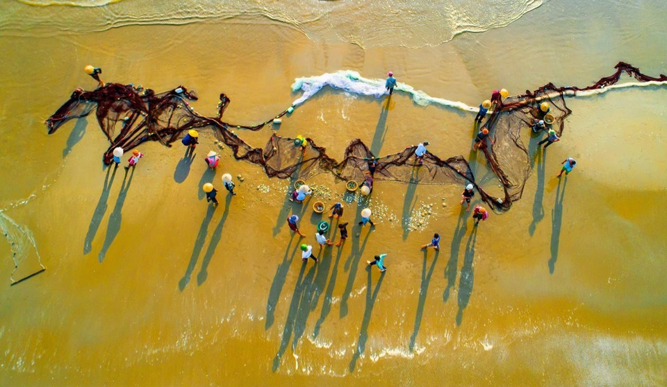 渔民在禄河海滩拉网的场景。图自vnexpress.net