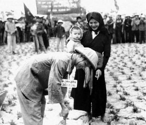 1957年土地改革工作完成，永久废除地主阶级封建剥削的土地所有制并建立农民土地所有制。土地改革的胜利是伟大而根本的胜利，其有助于改变北部农村面貌，使得农民兴奋生产，对促进生产、恢复经济和抚平战争之痛等做出贡献。（越通社资料图）