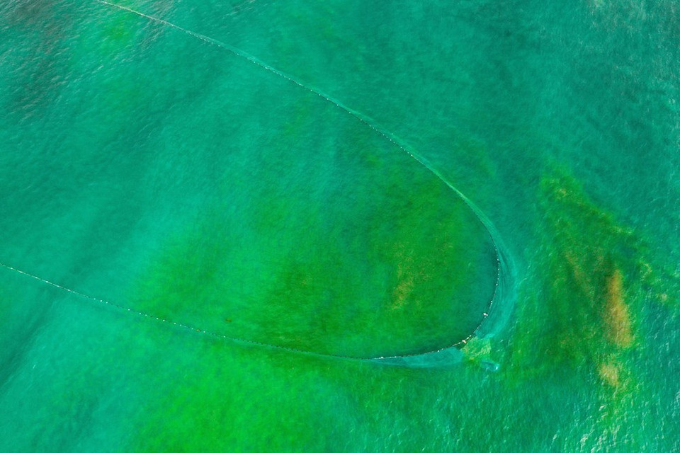 场面竟如此壮观。图自 越通社