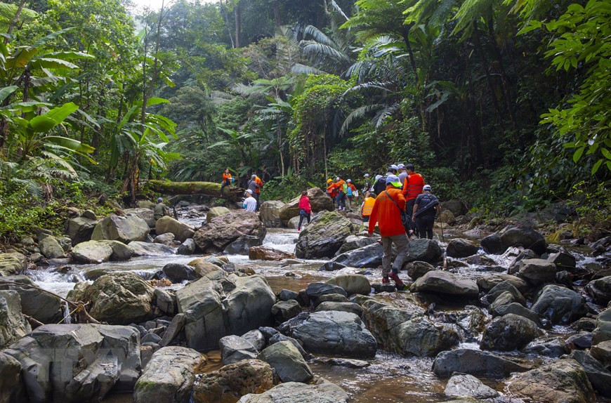 净水谷-仙溪旅游区有望成为自然旅游爱好者的天堂。图自越通社