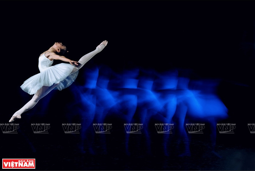 放飞。图片来源：越南画报