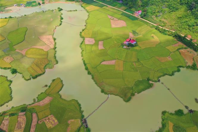 高空俯瞰高平省重庆县玉坤乡的梯田。图自越通社