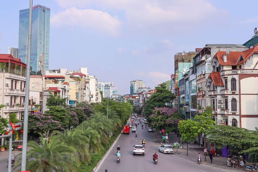 沿着陶晋、陈太宗、丁努和金马等街道，大花紫薇盛开，淡淡的紫色花给河内夏天带来新鲜的空间和活力。紫薇花开的时候非常繁艳，整棵树都披上了紫色的“外套”。据民间传说，上帝的小女儿在一次违反禁忌，爱上民间中的一名书生，惹皇上生气，把她变成大花紫薇。其后，人们就认为大花紫薇是两人相爱一生的象征。后来，大花紫薇已成为学生清纯初恋的象征。图自Vietnam+