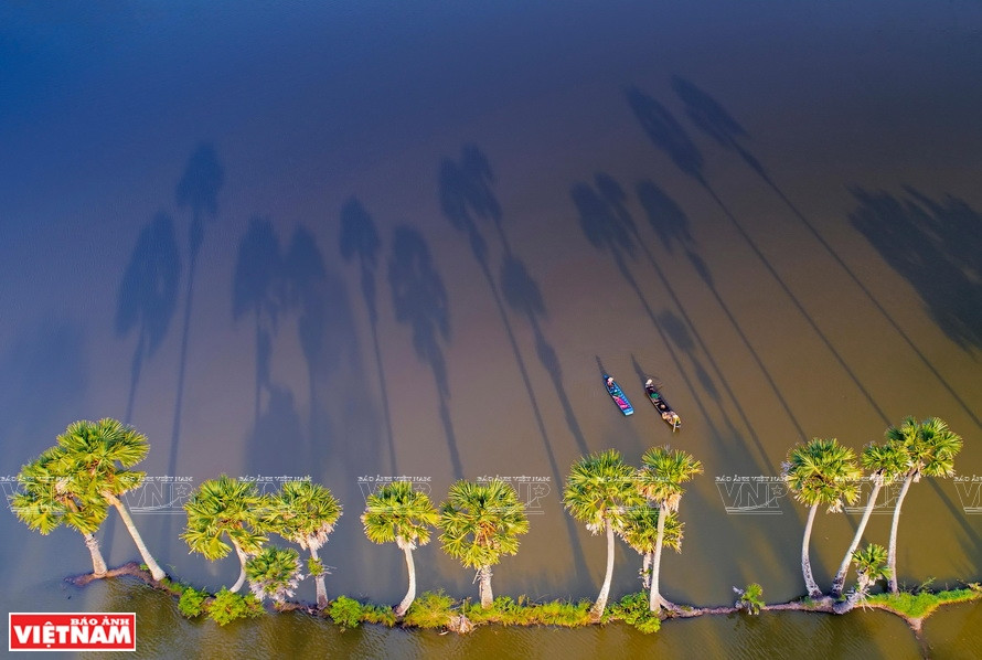 下午的太阳。图片来源：越南画报