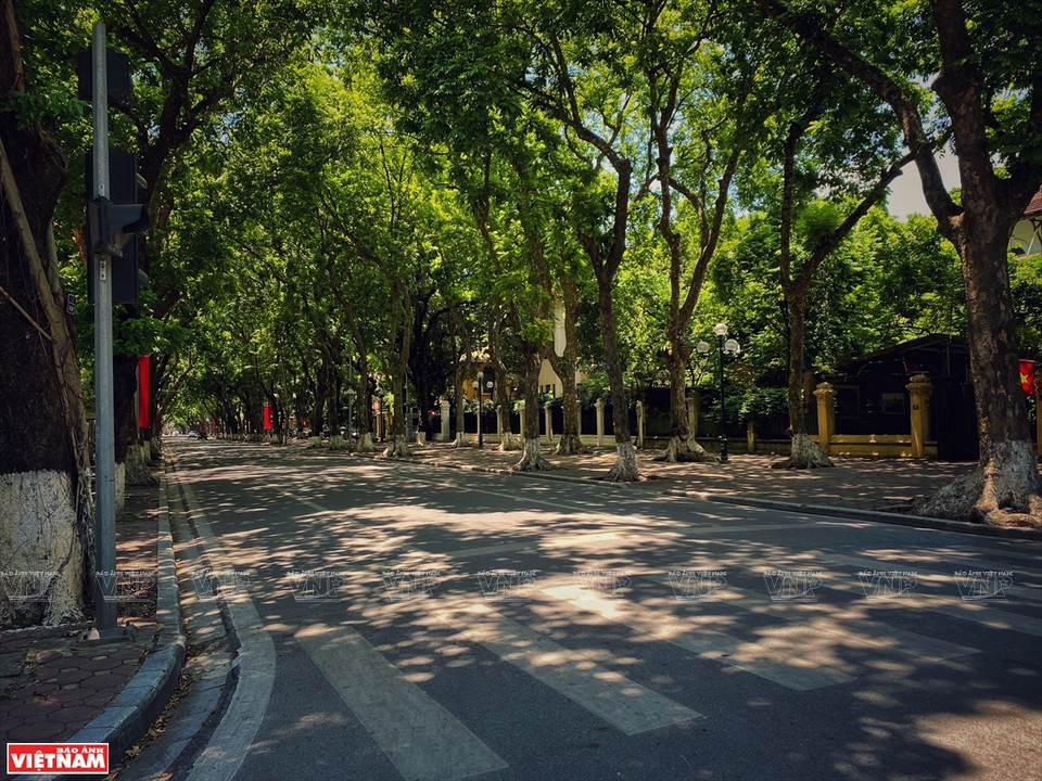 社交距离期间的潘廷冯路。图片来源：越通社