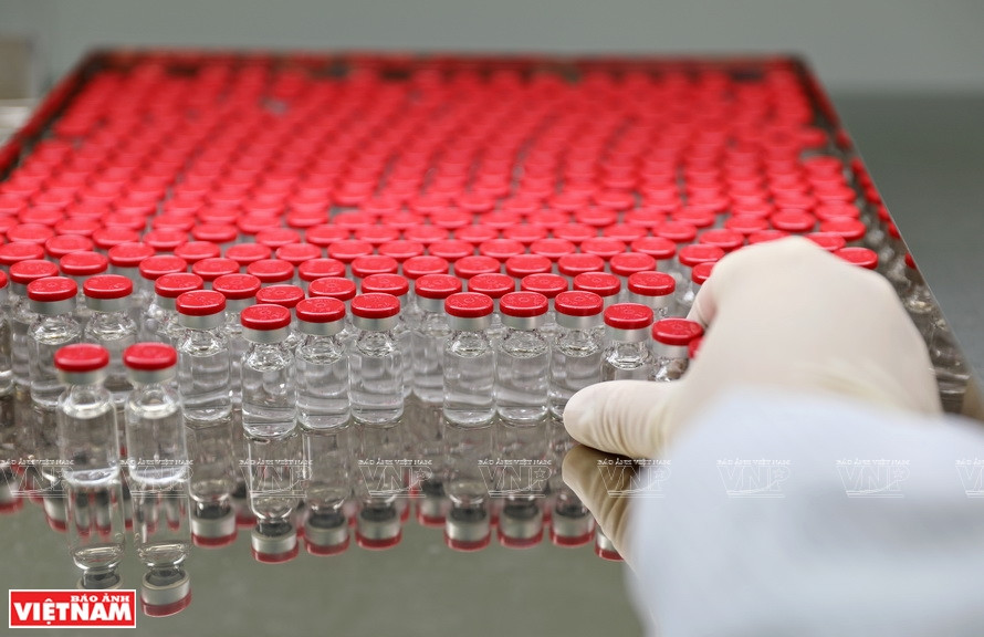 检查疫苗管子工序由人工负责。车间内，7到8名工作人员注视疫苗管子以查看是否出现杂物或异常杂质。