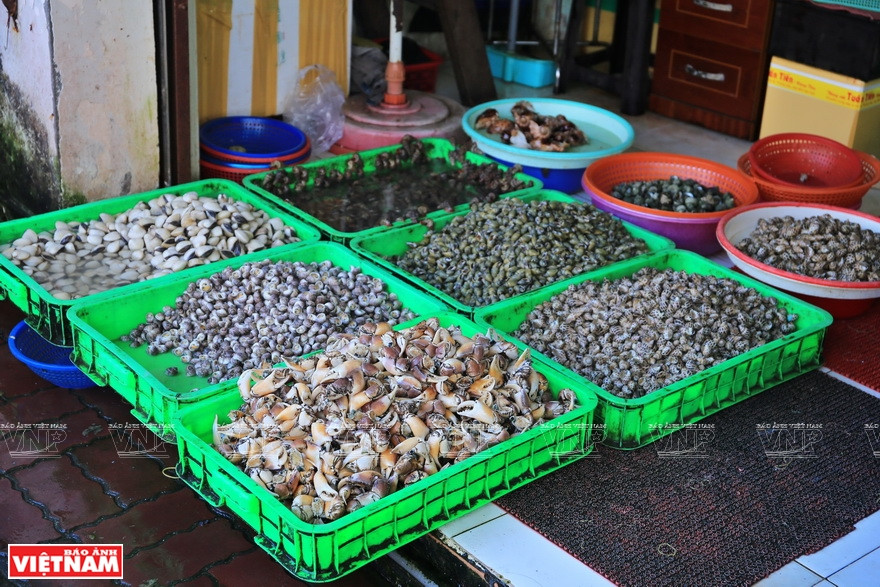 随时可以服务当地人民和游客的新鲜海鲜。图自《越南画报》